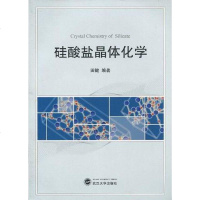 [二手8成新]硅酸盐晶体化学 9787307076198