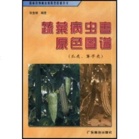 【二手8成新】蔬菜病虫害原色图谱 9787535930071
