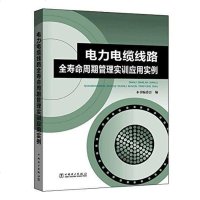 [二手8成新]电力电缆线路寿命周期管理实训应用实例 9787519801427