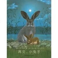 [二手8成新]再见,小兔子 9787513306010