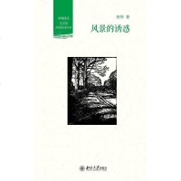 [二手8成新]风景的诱惑 9787301223437