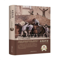 [二手8成新]悲惨世界(名家名译) 9787565834219