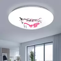 led吸顶灯圆形吸顶灯卧室灯具过道书房餐厅客房灯阳台灯饰遥控灯