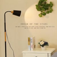 遥控阅读北欧落地灯卧室书房led简约落地台灯现代可调光创意客厅