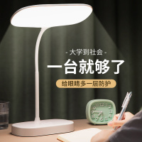 可充电式台灯护眼书桌小学生用学习专用卧室床头看书插电两用台风
