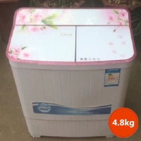 特价家用4.8/7.8/11kg不锈钢大容量双桶洗衣机双缸波轮半自动小型|4.8kg(双塑料桶)小型