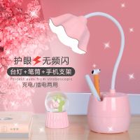 台灯护眼学习可充电小学生宿舍卧室床头灯led少女心写作业神器