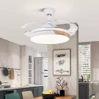 隐形风扇吊灯客厅吊扇灯餐厅卧室家用简约现代led电扇灯具变频