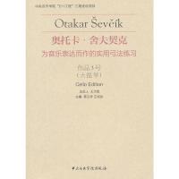 奥托卡 舍夫契克-为音乐表达而作的实用弓法联系-作品3号(大提琴) 龚汉祥,王绍武