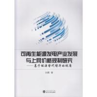 能源发电产业发展与上网价格规制研究-基于能源替代博弈的视角 孙鹏