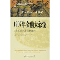 1907年金融大恐慌:从市场风暴中汲取教训(引进版) (美)罗伯特·F.布鲁纳,圣恩·D.卡尔