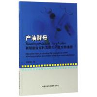 产油酵母 Rhodosporidium toruloides 利用廉价原料发酵生产微生物油脂 周稳稳