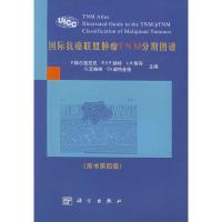 国际抗癌联盟肿瘤TNM分期图谱 (翻译版) (德)赫尔曼尼克(P.Hermanek)等,杨勇