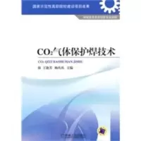 CO2气体保护焊技术 王艳芳,杨兵兵