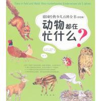 动物都在忙什么 (德) 贝贝尔·奥福特林著