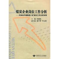 煤炭企业岗位工作分析--河南省平煤集团八矿岗位工作分析实例 何建新,戴学增,罗志强