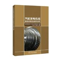 汽轮发电机组振动诊断及实例分析 国网湖南省电力公司电力科学研究院,张国忠,