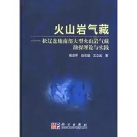 火山岩气藏----- 松辽盆地南部大型火山岩气藏勘探理论与实践 侯启军,赵志魁,王立武