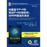 构建基于IPv6和移动IPv6的物联网:向M2M通信的演进 丹尼尔·迈诺里 (Daniel Mino