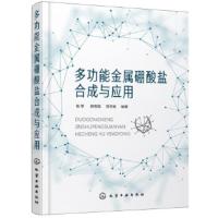 多功能金属硼酸盐合成与应用;基础化学;化学科技 杨军,郭俐聪,郑学家