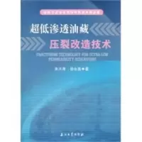 超低渗透油藏勘探开发技术新进展 超低渗透油藏压裂改造技术 朱天寿