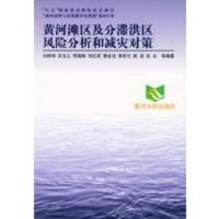 黄河滩区及分滞洪区风险分析和减灾对策——黄河治理与水资源开发利用 刘树坤
