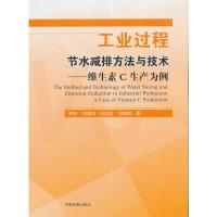工业过程节水减排方法与技术-维生素C生产为例 乔琦,刘景洋,孙启宏,孙晓明