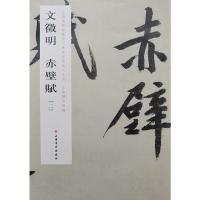 上海博物馆藏历代碑帖经典放大系列:文徵明赤壁赋(二) 上海博物馆