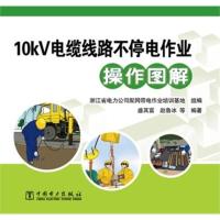 10kV电缆线路不停电作业操作图解 盛其富 ,浙江省电力公司配网带电作业培训基