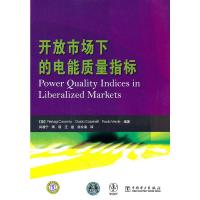 开放市场下的电能质量指标 (意)拉卡米亚,(意)卡尔皮内利,(意)威尔蒂著