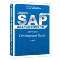 工程师突击——SAP ABAP 实用程序开发攻略 唐骏华著
