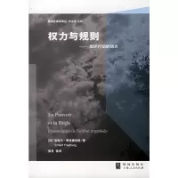 权力与规则 埃哈尔·费埃德伯格