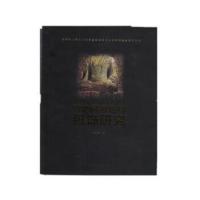 汉地佛教造像服饰研究 葛英颖