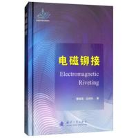 电磁铆接 左杨杰,曹增强
