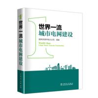 世界城市电网建设 赵亮