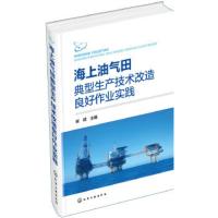 海上油气田典型生产技术改造良好作业实践 崔嵘