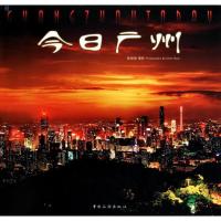 今日广州 陈碧信 摄