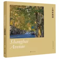 上海林荫道 上海市绿化和市容管理局,上海市绿化管理指