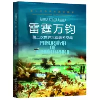 第二次世界大战纵横录:雷霆万钧 第二次世界大战空战 胡元斌,严锴