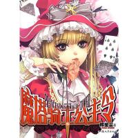 魔塔骑士公主令 释星尘