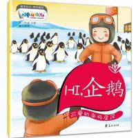 HI，企鹅:可爱的南极居民 阿呆 小杏