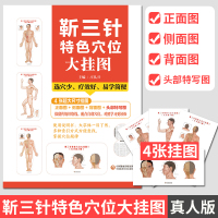 靳三针特色穴位大挂图 4张超大尺寸挂图 正面背面侧面头部 中国医药科技出版社