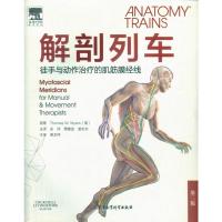 非实物 解剖列车第三版PDF电子书 徒手与动作治疗的肌筋膜经线 军事医学科学出版社