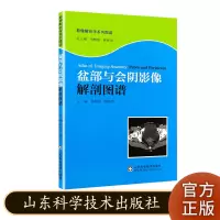 盆部与会阴影像解剖图谱 影像解剖学系列图谱 山东科学技术出版社