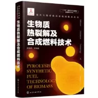 现代生物质能高效利用技术丛书--生物质热裂解及合成燃料技术 易维明著 9787122366221