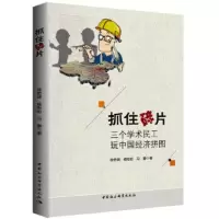 抓住碎片:三个学术民工玩中国经济拼图 徐奇渊,杨盼盼,冯蕾著 9787516175804