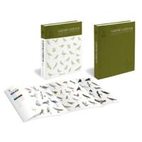 中国原与荒漠鸟类 邢莲莲 杨贵生 马鸣 ,中国国家地理·图 9787571004965