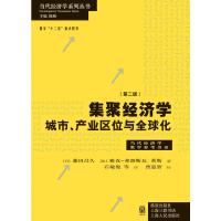 集聚经济学:城市、产业区位与化 (日)藤田昌久 (比)雅克-弗朗斯瓦蒂斯 石敏 9787543225