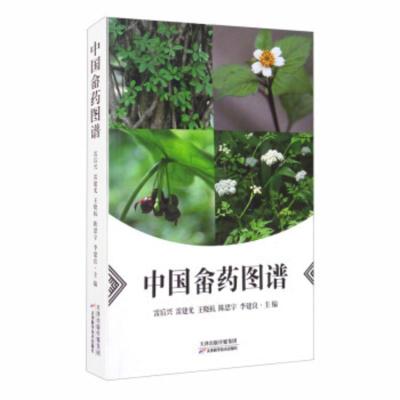 中国迁地栽培植物志:秋海棠科:Begoniaceae 黄宏文,李爱荣,李景秀,崔卫华 9787521