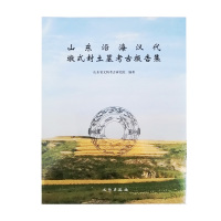 山东沿海汉代墩式封土墓考古报告集 山东省文物考古研究院 9787501067374